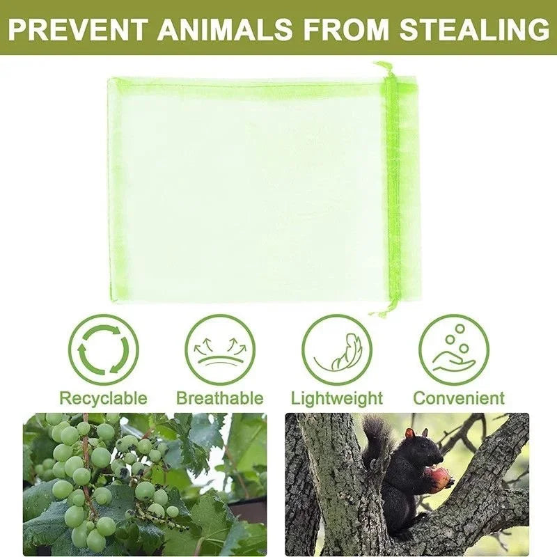 Protect Your Fruits with Our 50/100 Pack of Anti-Bird Garden Netting Bags - Perfect for Strawberries, Grapes & More!