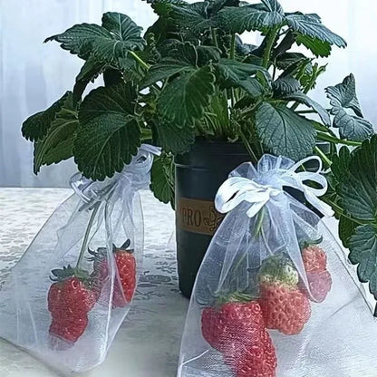 Protect Your Fruits with Our 50/100 Pack of Anti-Bird Garden Netting Bags - Perfect for Strawberries, Grapes & More!